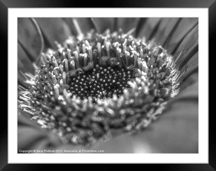 Set The Controls For The Heart Of The Sun Framed Mounted Print by Neal P