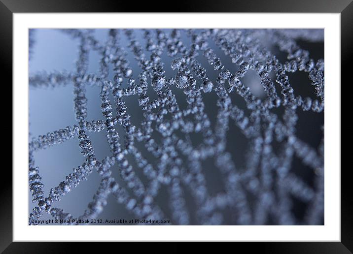 Winter Web Framed Mounted Print by Neal P