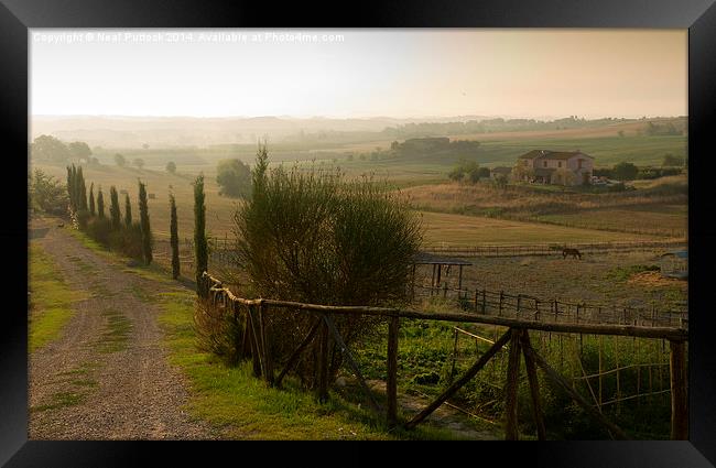 Morning in Tuscany Framed Print by Neal P