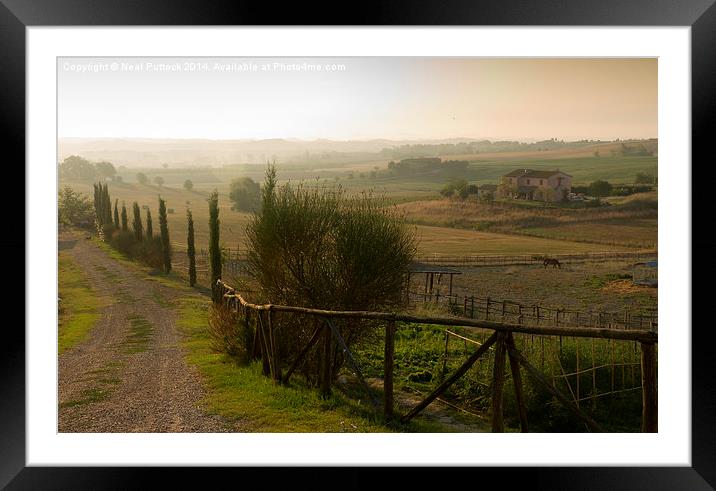 Morning in Tuscany Framed Mounted Print by Neal P