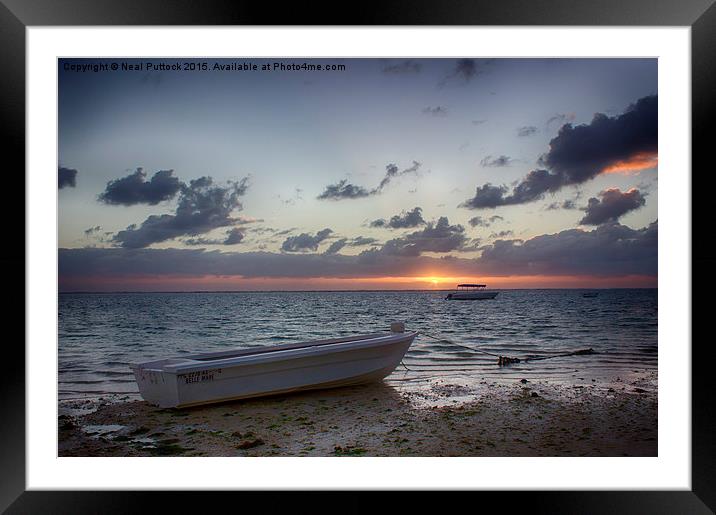  Sunrise on the Horizon Framed Mounted Print by Neal P