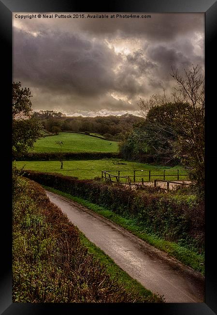  British Summer Framed Print by Neal P