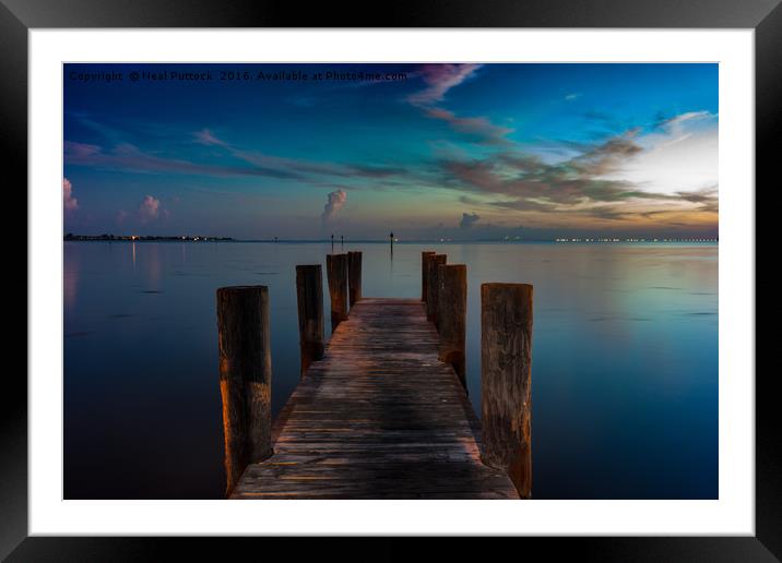 Sunrise at Tampa Bay Framed Mounted Print by Neal P