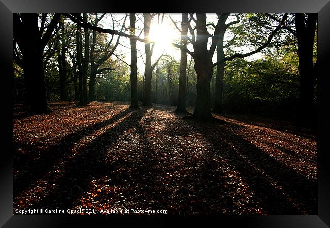 The sun peeks through Framed Print by Caroline Opacic