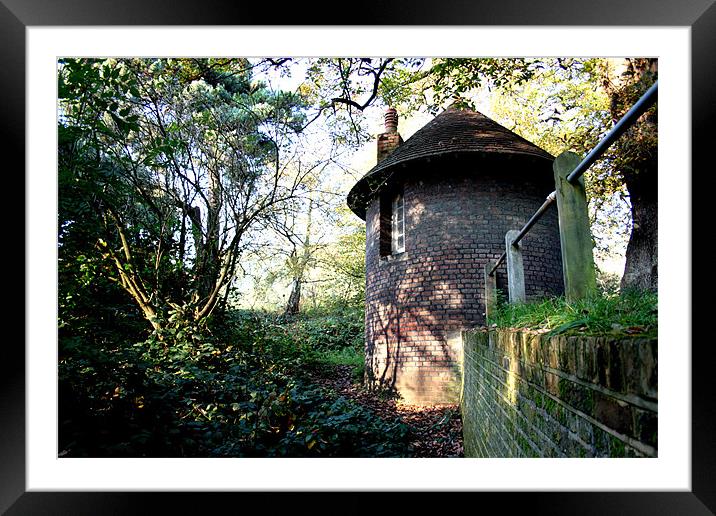 Hut in the woods Framed Mounted Print by Caroline Opacic