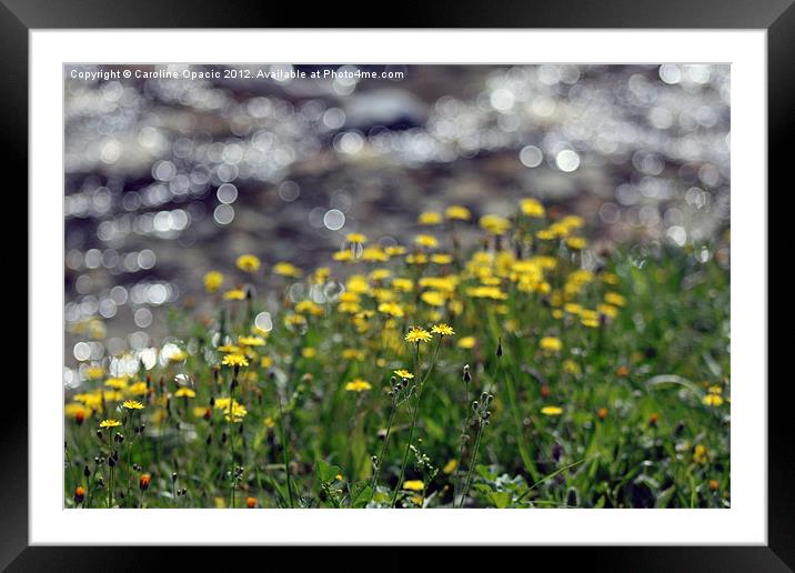 Buttercups by the river Framed Mounted Print by Caroline Opacic