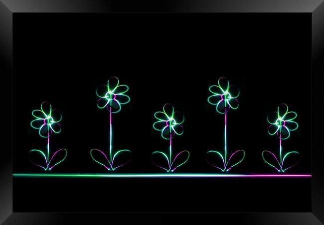 Neon Flowers Framed Print by Rachael Hood