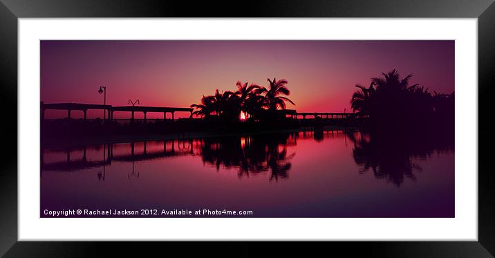 Palm Tree Reflection Framed Mounted Print by Rachael Hood
