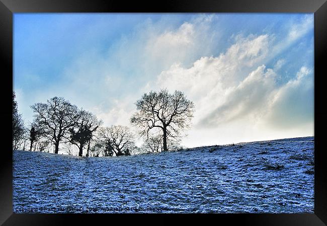 Frosty Morning Framed Print by Rachael Hood