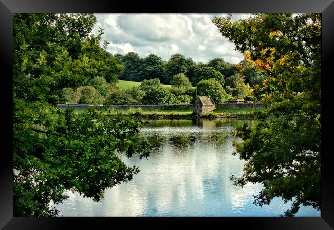 Waters reflection  Framed Print by Rachael Hood