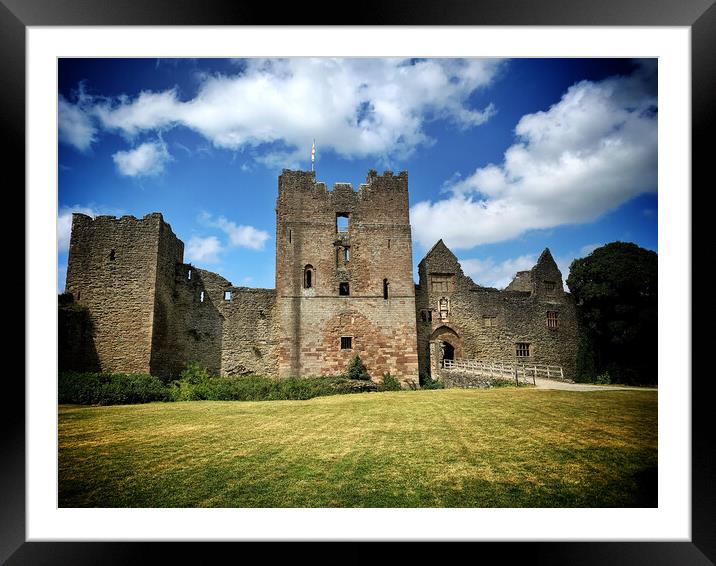 Ludlow Castle Framed Mounted Print by Rachael Hood