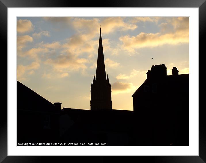 Salisbury Cathedral Framed Mounted Print by Andrew Middleton