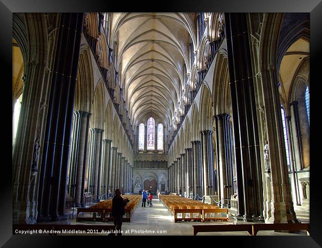 Salisbury Cathedral Framed Print by Andrew Middleton