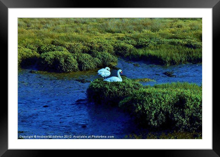 Forever (Blue) Framed Mounted Print by Andrew Middleton