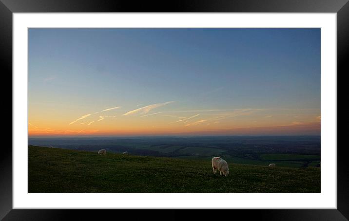Sheep On The Gibbit Framed Mounted Print by Andrew Middleton