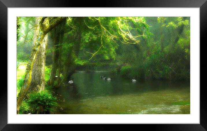 Misty In Clatford Framed Mounted Print by Andrew Middleton