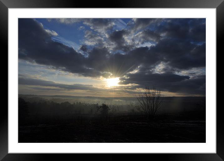 sunrise over misty frensham pond Framed Mounted Print by mark coates