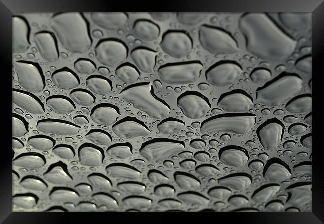 rain drops Framed Print by mark coates