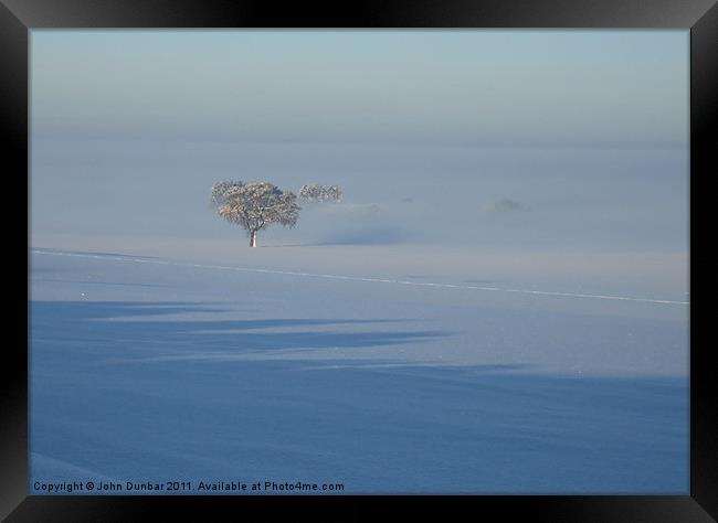 Trees in the Mist Framed Print by John Dunbar