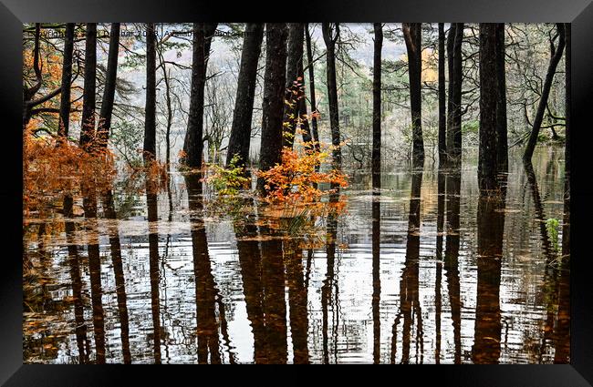 Rising Waters Framed Print by John Dunbar