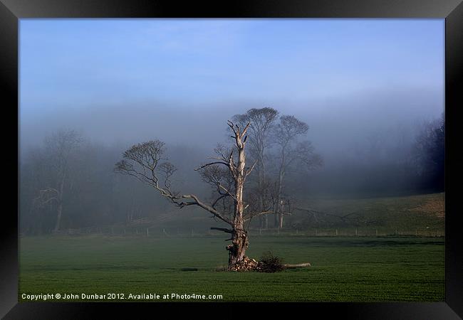 Life on Limb Framed Print by John Dunbar