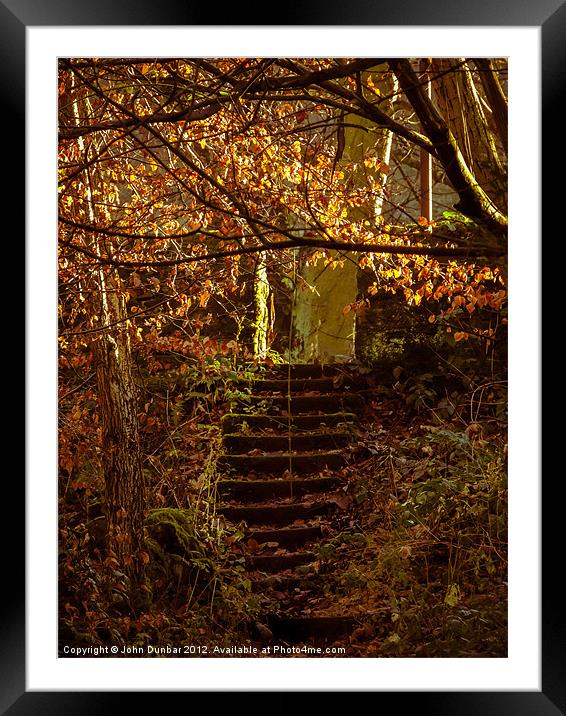 Stepped into the Autumn Light Framed Mounted Print by John Dunbar