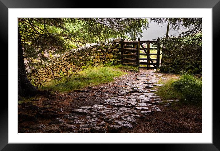 The Path at Blea Tarn Framed Mounted Print by John Dunbar