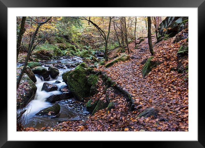 Autumn on Wyming Brook Trail Framed Mounted Print by John Dunbar