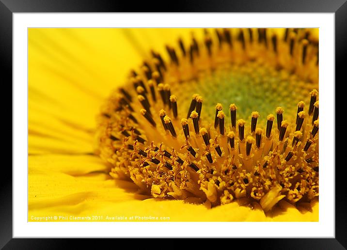 Here Comes The Sun Framed Mounted Print by Phil Clements