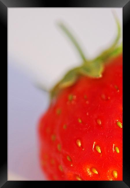 Strawberry Framed Print by Phil Clements
