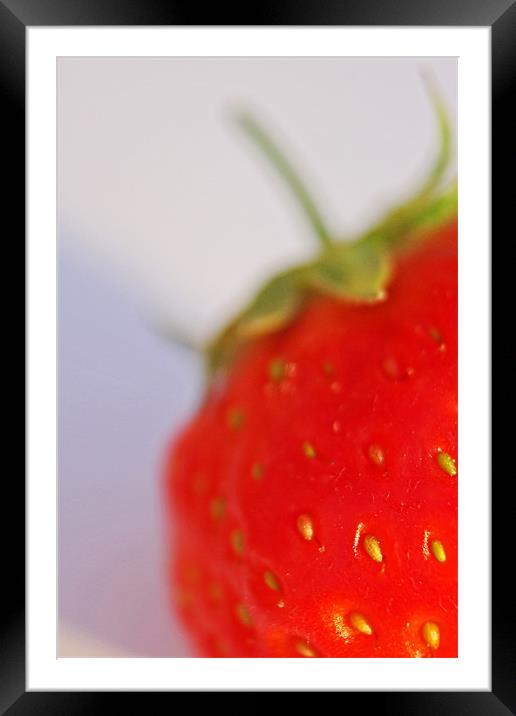 Strawberry Framed Mounted Print by Phil Clements