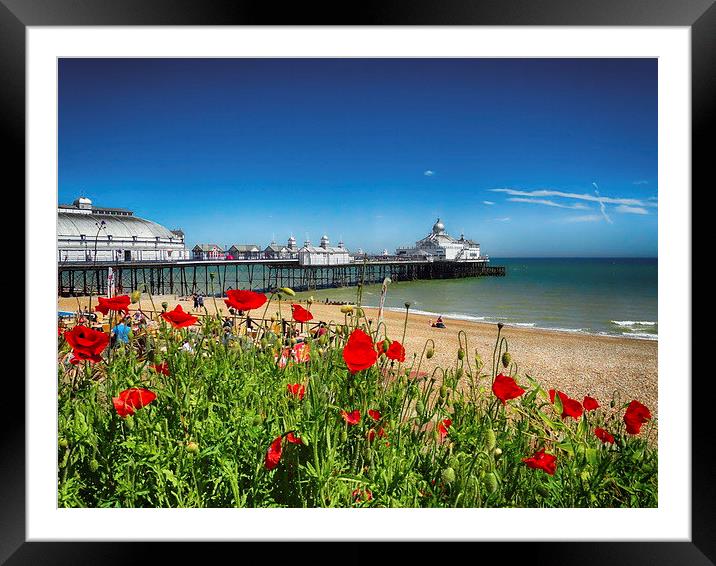 Eastbourne Pier and poppies Framed Mounted Print by Phil Clements