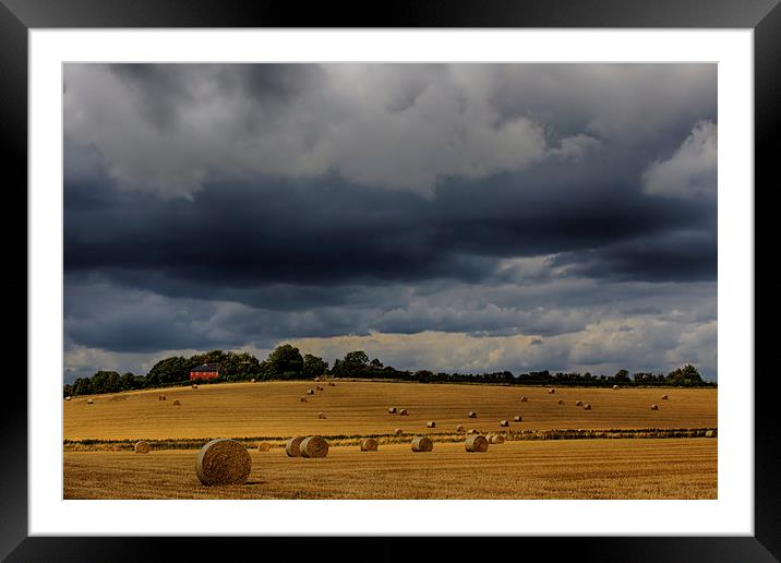  Harvest Time, Glynde Framed Mounted Print by Phil Clements