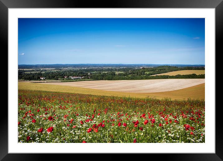 Summer Poppies At Firle Framed Mounted Print by Phil Clements