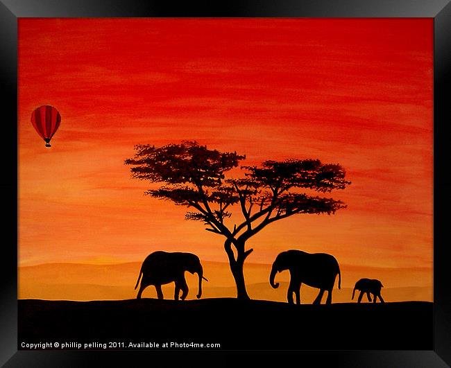 Elephants at sunset Framed Print by camera man