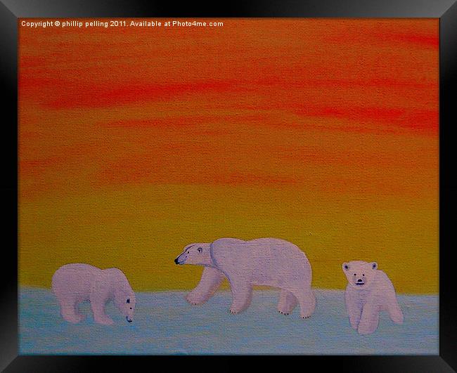 Polar Bears at sunset. Framed Print by camera man