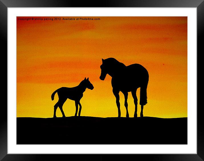 Wild Horses Framed Mounted Print by camera man