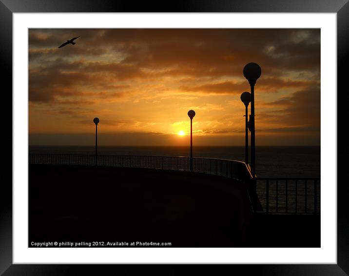 Sunny Horizon Framed Mounted Print by camera man