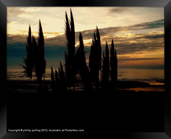 Pampas Dawn. Framed Print by camera man