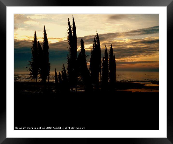 Pampas Dawn. Framed Mounted Print by camera man