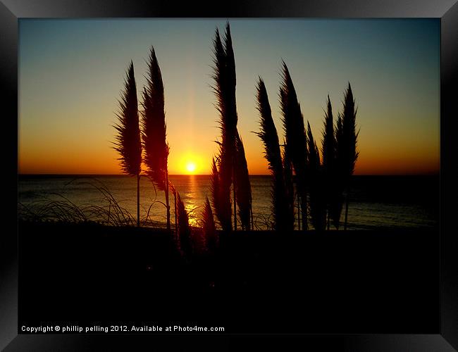 Pampas Sunrise Framed Print by camera man