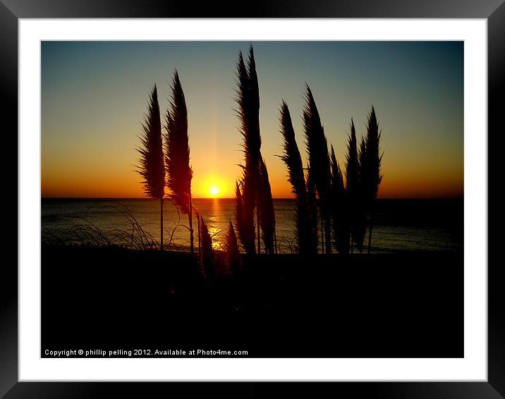 Pampas Sunrise Framed Mounted Print by camera man