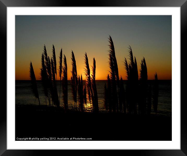 Pampas Paradise. Framed Mounted Print by camera man