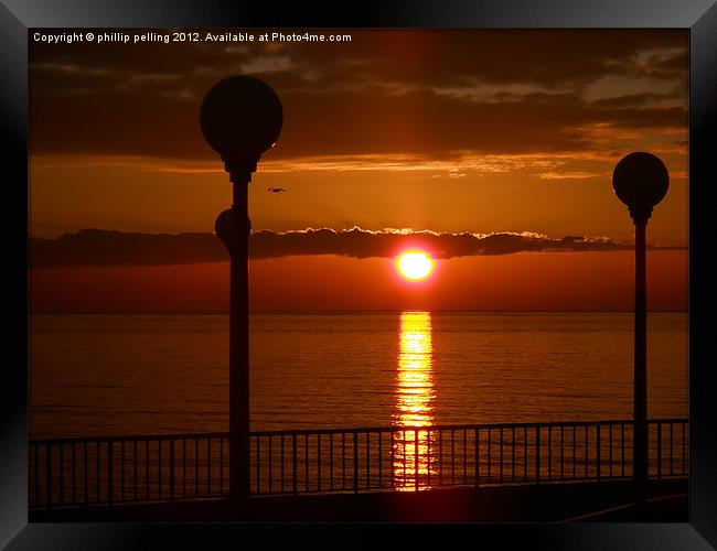 Golden Reflection. Framed Print by camera man