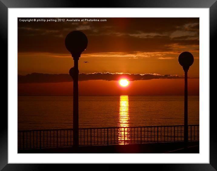 Golden Reflection. Framed Mounted Print by camera man