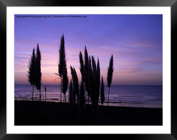 Pampas Seashore Framed Mounted Print by camera man