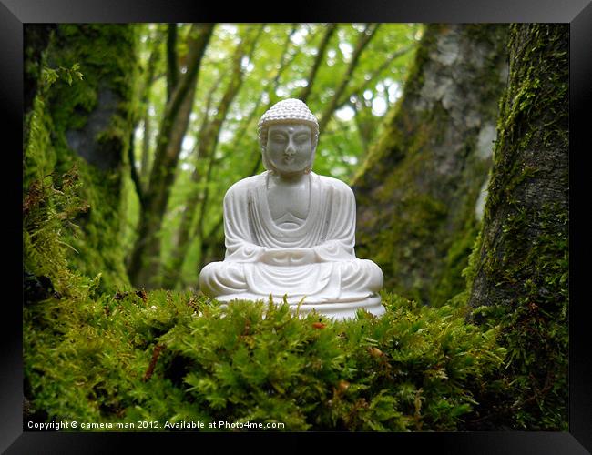 Buddha moss Framed Print by camera man