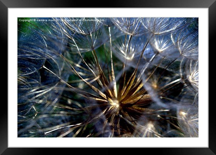 Seed Ball Framed Mounted Print by camera man