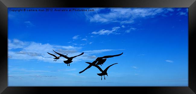 The Birds. Framed Print by camera man