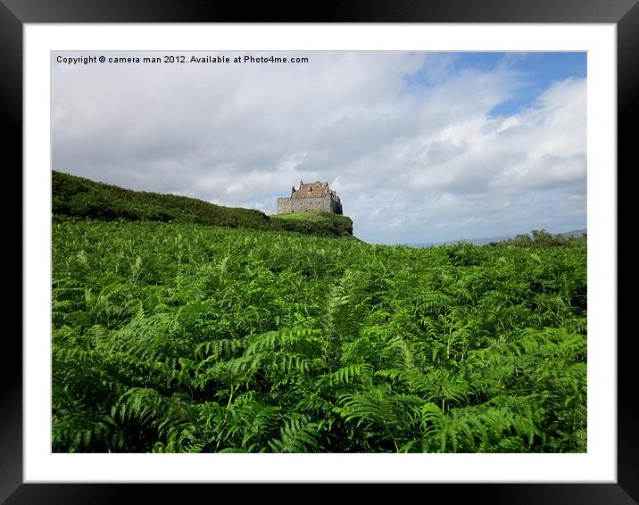 Castle Ferns Framed Mounted Print by camera man